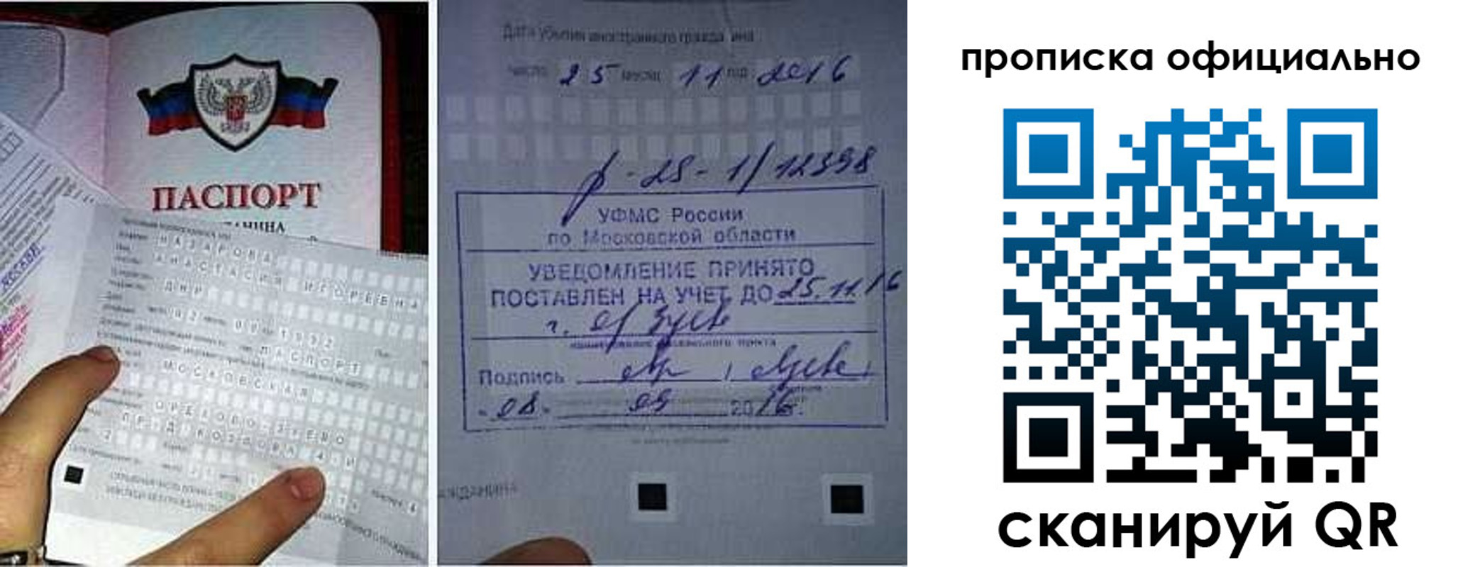прописка паспорт в Тамбовской области